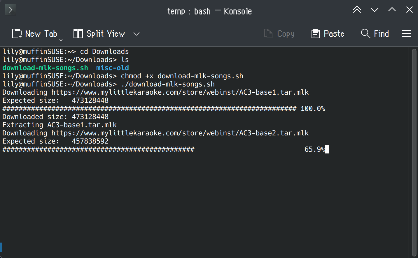 Image: Shell script running